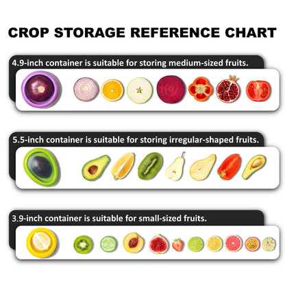 🔥Fruit And Vegetable Anti-Oxidation Storage Box