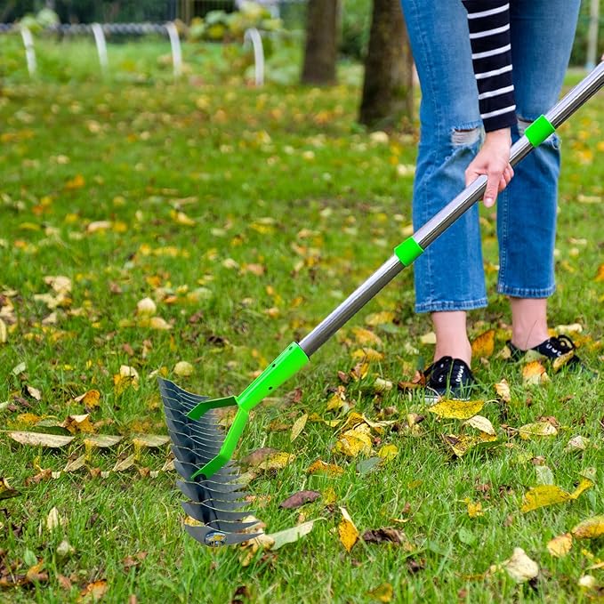 🌱Durable Steel Dethatcher for Efficient Lawn Grooming, Soil Preparation & Dead Grass Removal(without handle)