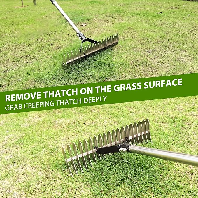 🌱Durable Steel Dethatcher for Efficient Lawn Grooming, Soil Preparation & Dead Grass Removal(without handle)