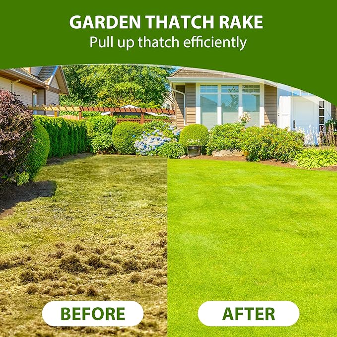 🌱Durable Steel Dethatcher for Efficient Lawn Grooming, Soil Preparation & Dead Grass Removal(without handle)