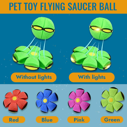 🐾Flying Saucer Ball Toy🔥