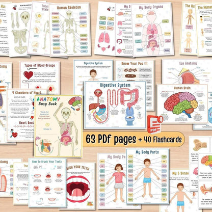 👦👧Human Body Anatomy Busy Book for Toddlers👍Kindergarten Preschool Learning Activities