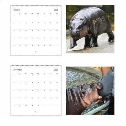 🦛Moo Deng Calendar | 2025 Calendar