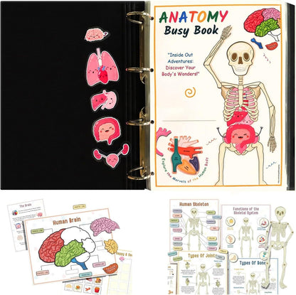 👦👧Human Body Anatomy Busy Book for Toddlers👍Kindergarten Preschool Learning Activities